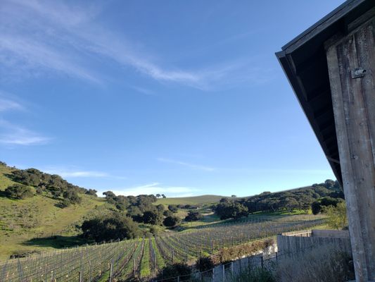 Spear Vineyards and Winery by null