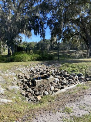 Shingle Creek Regional Park by null