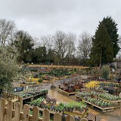 Van Hage Garden Co - Outside plants selection
