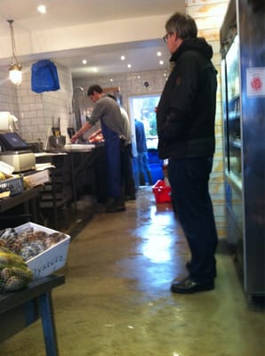 Fin and Flounder by null