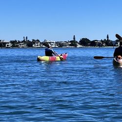 Kayaking SRQ Tours And Rentals - Lido kayaking