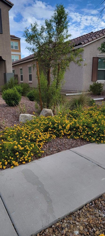 Bullseye Outdoor Services - tree service in Henderson, NV