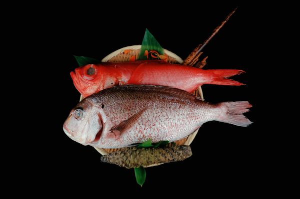 El Secreto Omakase by null