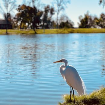 Tri-City Park - Parks Near Me - Placentia, California Tri-City Park - Parks Near Me - Placentia, California