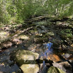 George B Parker Woodland - Brook that feeds the Flat River