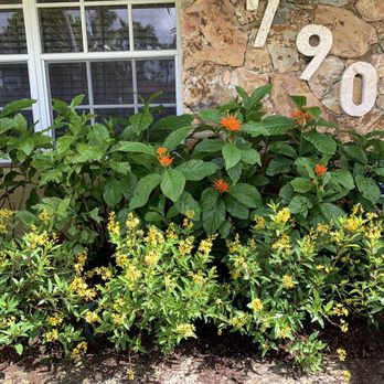 Sunset Nursery - Front yard - Nurseries & Gardening Near Me - Miami, Florida
