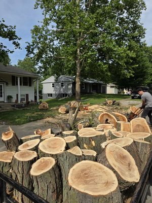 K&R Tree Lawn and Landscaping on Yelp