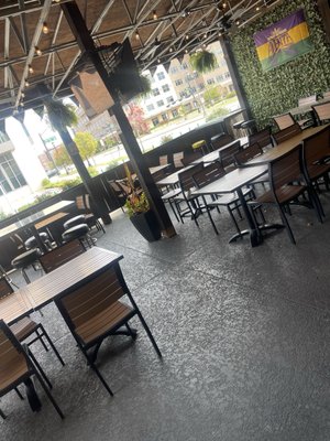 The Green Gator Frisco by null