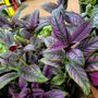 Photo of Simple Service Solutions Landscaping