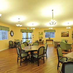 The Meadows At Country Place - Dining Room