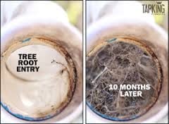 Slide of Absolute Drains LLC