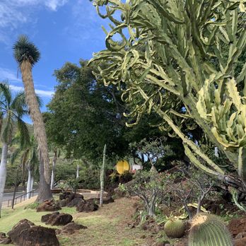 KCC Cactus Garden - Botanical Gardens Near Me - Honolulu, Hawaii KCC Cactus Garden - Botanical Gardens Near Me - Honolulu, Hawaii