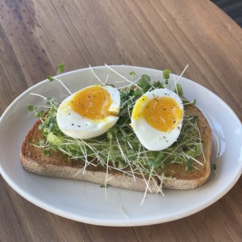 The Amsterdam - Avocado toast with boiled egg and microgreens - Bakeries Near Me - Clarksville, Tennessee The Amsterdam - Avocado toast with boiled egg and microgreens - Bakeries Near Me - Clarksville, Tennessee
