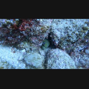 Manta Scuba Diving - Scuba Diving Near Me - Los Cabos, BCS