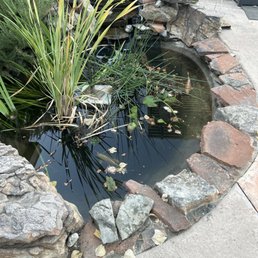 Pond and waterfall Pond and waterfall