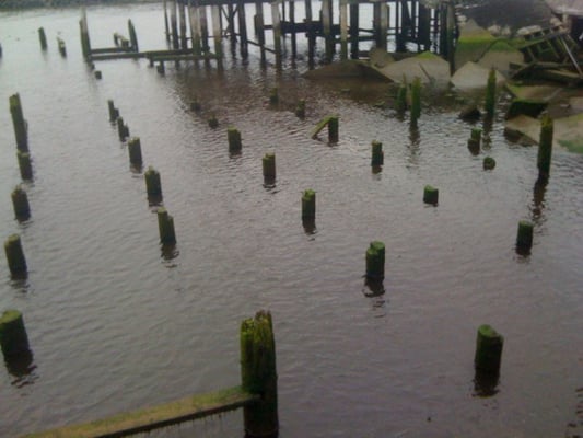 Cannery Pier Hotel & Spa by null