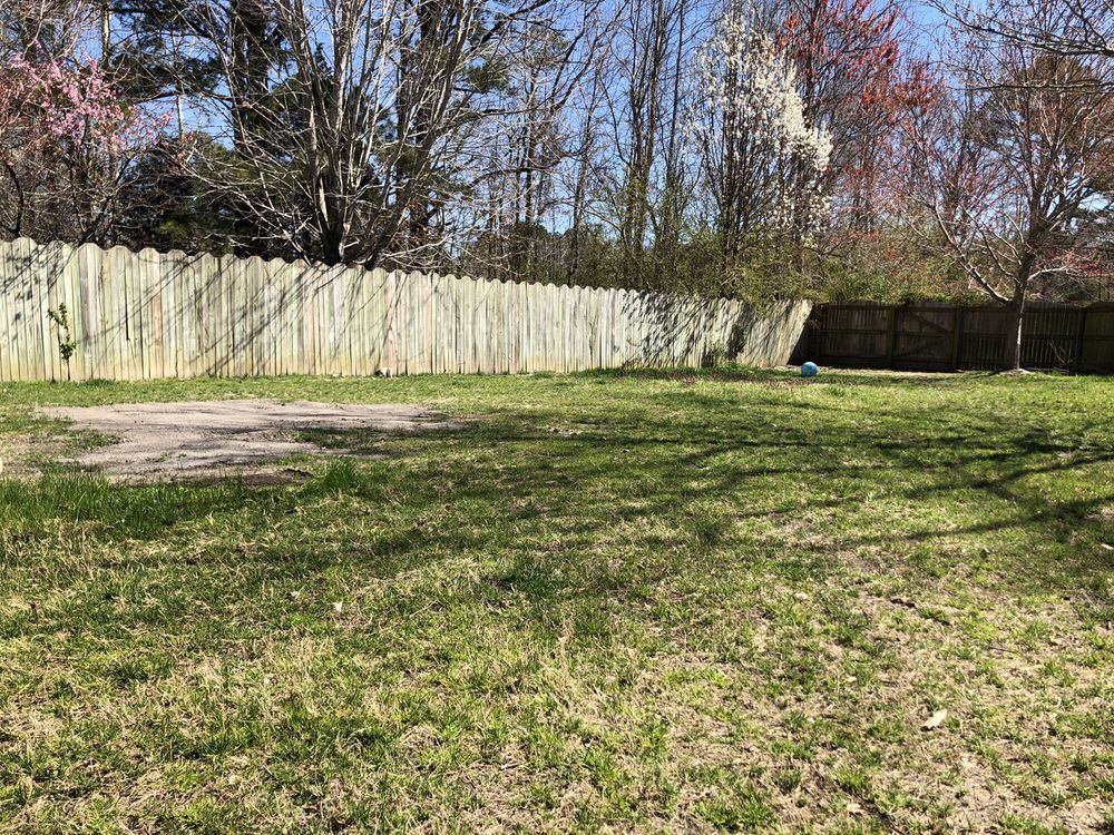 Yard Perfect - tree service in Norfolk, VA