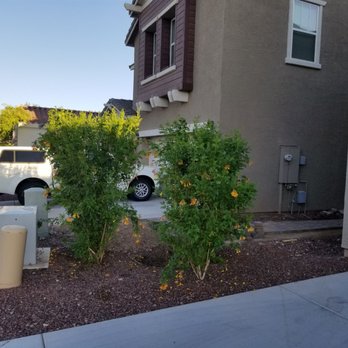 Divine Design Landscaping - Landscaping Near Me - Phoenix, Arizona Divine Design Landscaping - Landscaping Near Me - Phoenix, Arizona
