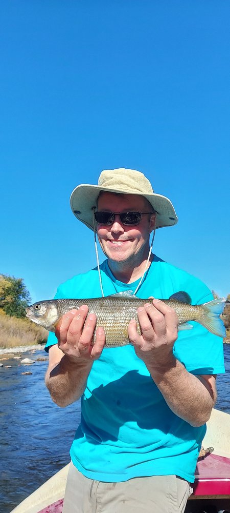 Gone Fishing Colorado Logo