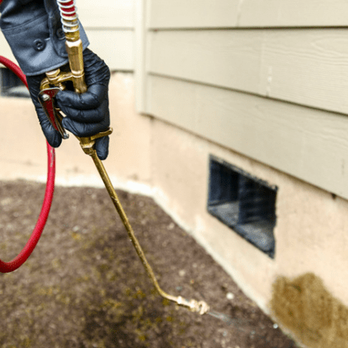 R & R Pest Control - Pest Control Near Me - Celina, Texas R & R Pest Control - Pest Control Near Me - Celina, Texas