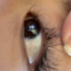 Armando's Salon - Lashes
