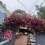 Photo of Ruta Oaxaca Mexican Cuisine