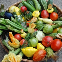 The Restaurant at Patowmack Farm - Fresh from the Fields of our own farm