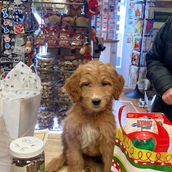 Trinity Barkery - Pet Stores Near Me - Wilmington, Illinois