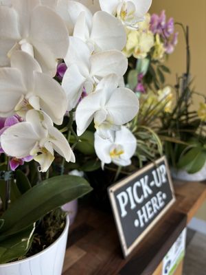 Banh Mi Land by null