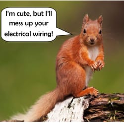 Integrity Electric & Home Improvement Services