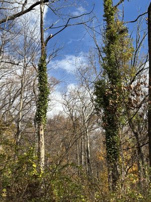 South Mountain Reservation by null