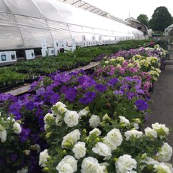 Houghton's Greenhouses