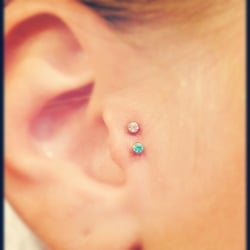 Deluxe Custom Tattoos Social Club - Double tragus