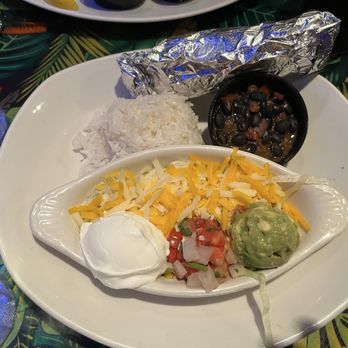 Rainforest Cafe - American Near Me - San Antonio, Texas