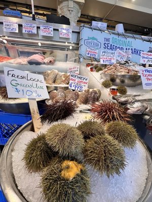 City Fish Co. by null