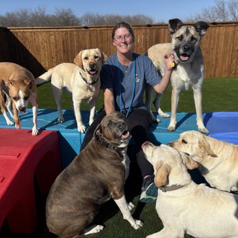 K9 Kind Resort - Pet Boarding Near Me - Justin, Texas