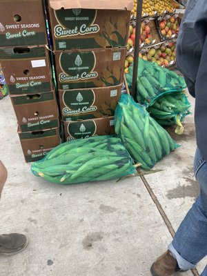 Azteca Farmers Market by null