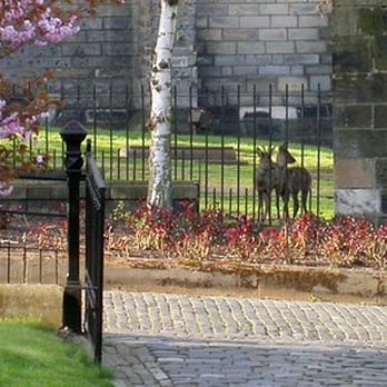 The Necropolis - from official website - Funeral Services & Cemeteries Near Me - Glasgow, GLG
