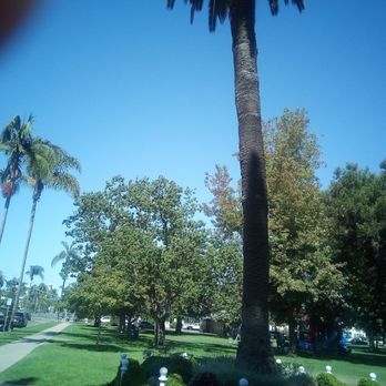 Spreckels Park - The tall palm tree has one of the many statues the children at play the park has such a great meaning to the historical plaques. - Parks Near Me - San Diego, California