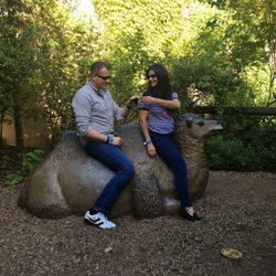 Brew At The Zoo - Brew at the zoo@ roger William park zoo