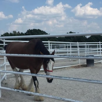 Warm Springs Ranch - Tours Near Me - Boonville, Missouri Warm Springs Ranch - Tours Near Me - Boonville, Missouri