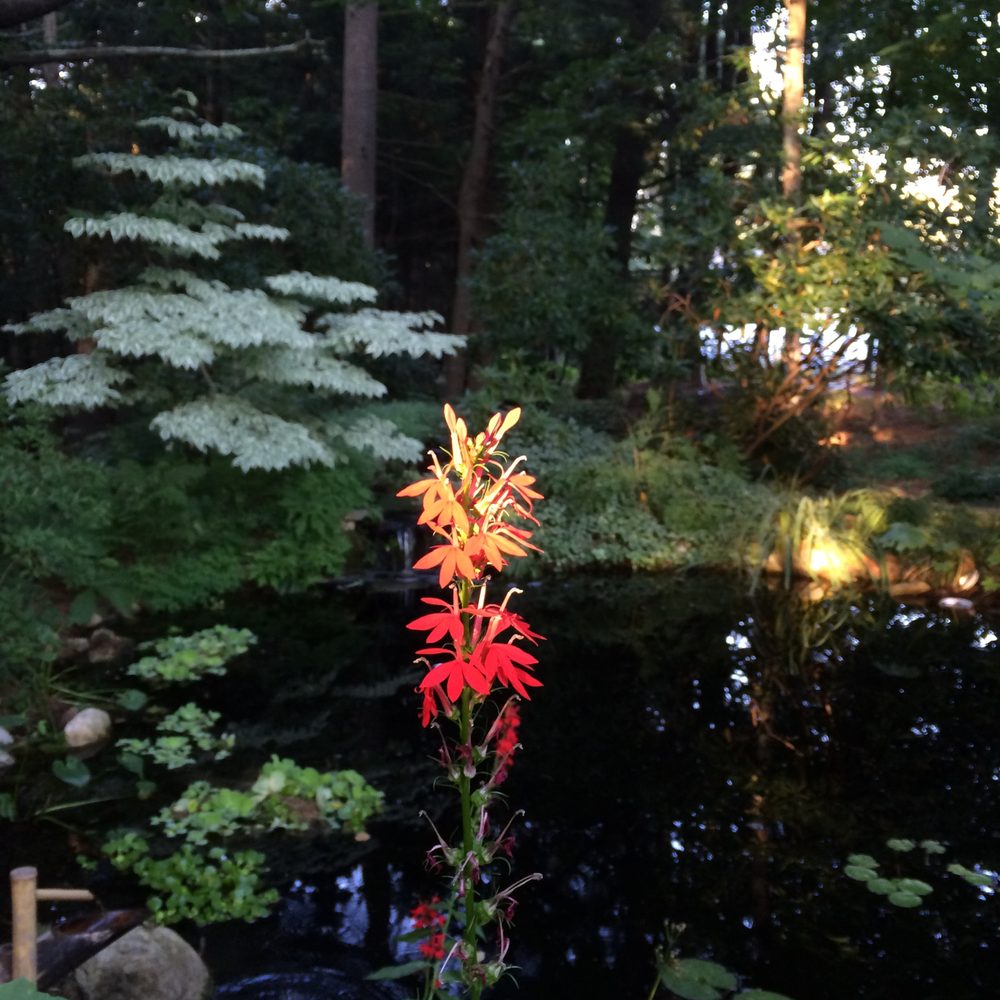 SHADY GLEN NURSERY Updated August 2024 215 Main St, Freeport, Maine