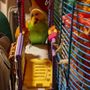 Photo of Pet Central