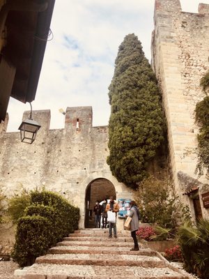 Castello Scaligero di Malcesine by null