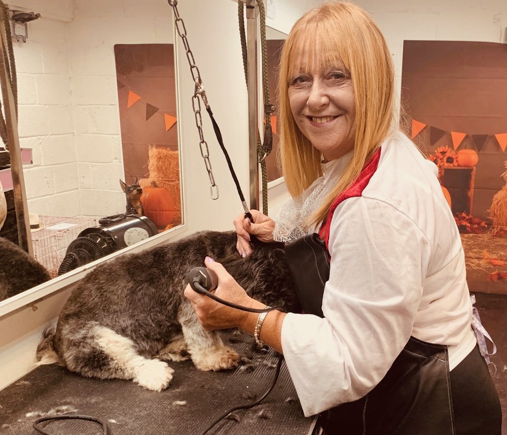 RIVERSIDE DOG GROOMING SCHOOL 15 Photos 21 Little Ees Lane