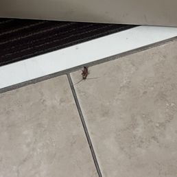 Bug restroom