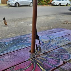 Kauai Fresh Fruit - Picnic table