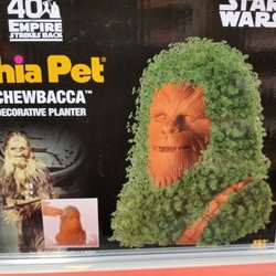 Walgreens - Chia Pets alive & well!