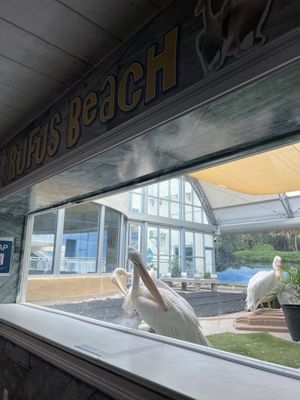 Clearwater Marine Aquarium by null