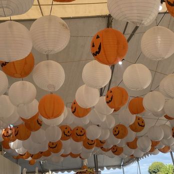 Tanaka Farms - 10.10.25 cute lanterns - CSA Near Me - Irvine, California Tanaka Farms - 10.10.25 cute lanterns - CSA Near Me - Irvine, California